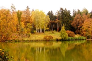 Дендропарк Тростянец
